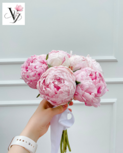 GÒ VẤP, QUẬN 12, QUẬN 11, QUẬN 10, QUẬN 9,
