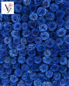  VY FLORAL SHOP, CỬA HÀNG HOA, HOA KHÔ, HOA LỤA, HOA VẢI, HOA SÁP, GÒ VẤP, QUẬN 12, QUẬN 11, QUẬN 10, QUẬN 9, hoa màu xanh biển, hoa xanh biển, hoa xanh Gò Vấp.