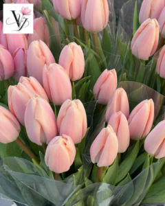 VY FLORAL SHOP, CỬA HÀNG HOA, HOA TULIP, HOA KHÔ, HOA LỤA, HOA VẢI, HOA SÁP, HOA TULIP GÒ VẤP, GÒ VẤP, QUẬN 12, QUẬN 11, QUẬN 10, QUẬN 9