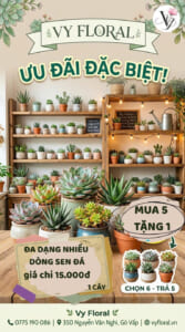 MUA SEN ĐÁ GÒ VẤP