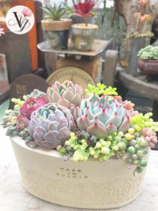 đặt hoa 2010 giao tận nơi tại Gò Vấp