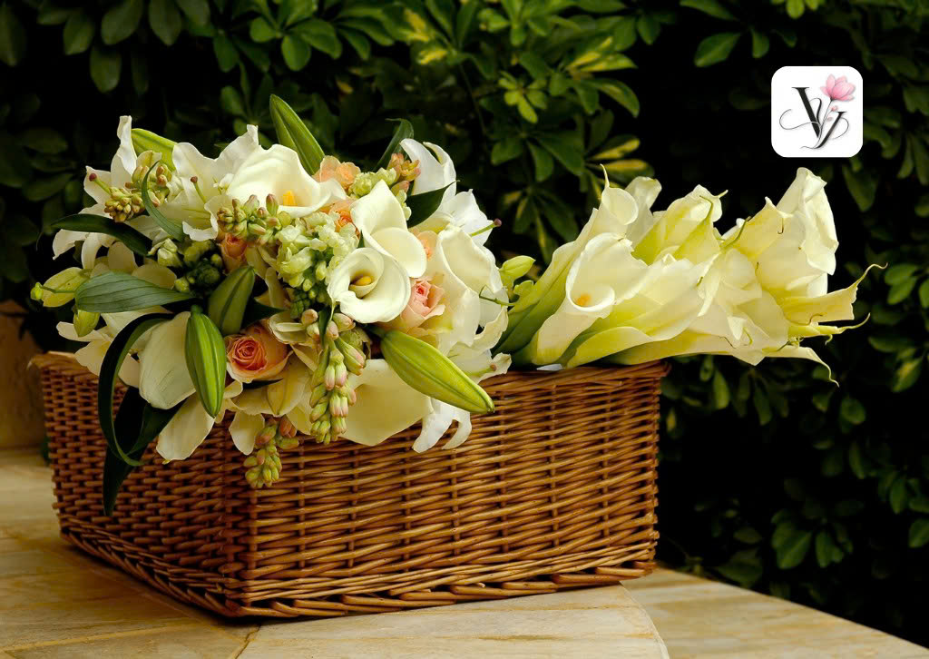 🌸 Khám Phá Ý Nghĩa Sâu Sắc Của Hoa Ly Và Vẻ Đẹp Kiêu Sa Cùng Vy Floral