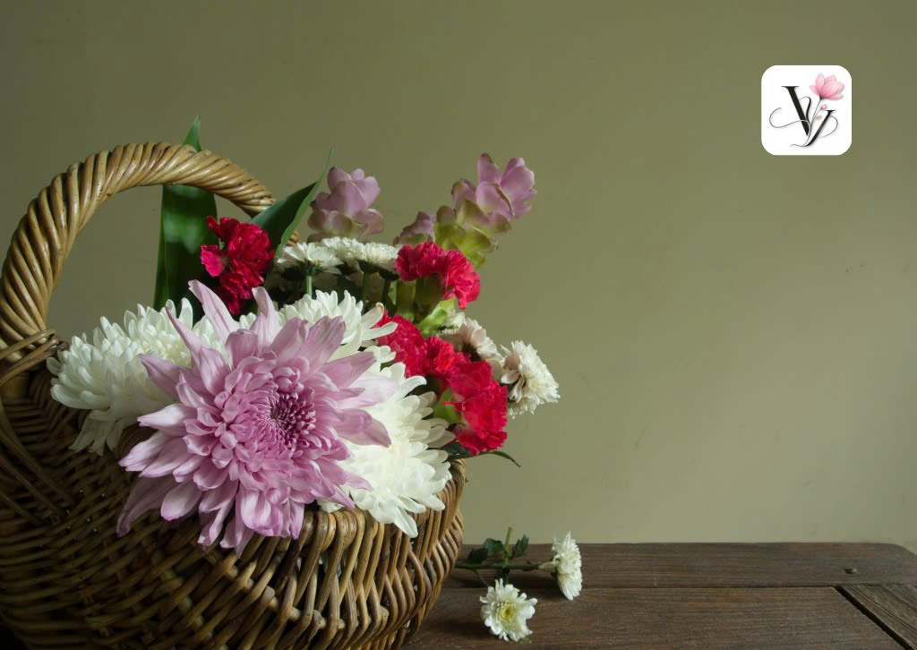 VY FLORAL SHOP – Ý Nghĩa Các Màu Hoa Cúc Và Những Dịp Nên Tặn
