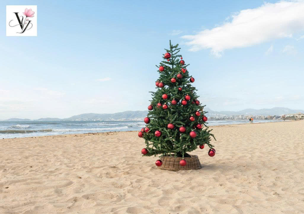 Ý nghĩa cây thông Noel – Biểu tượng của Giáng Sinh, hy vọng và yêu thương