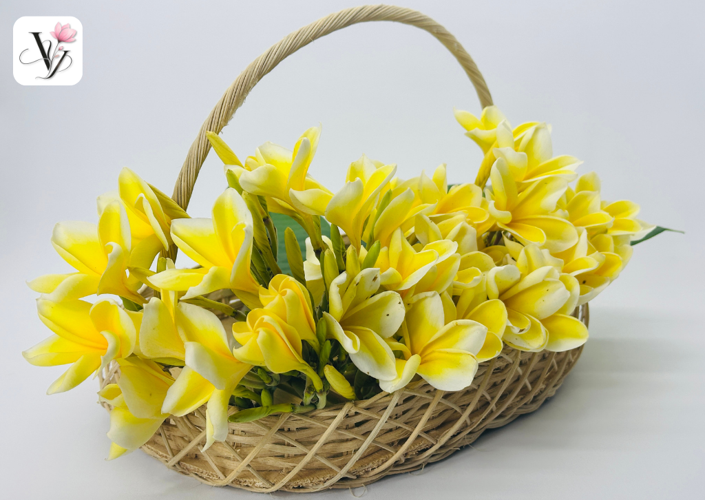 Giới thiệu Vy Floral – Shop hoa tươi & lớp dạy cắm hoa tại Gò Vấp