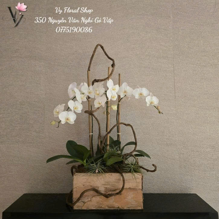 Chậu Hoa Lan Lụa Cao Cấp: Xu Hướng Quà Tặng Sang Trọng Và Bền Vững Cho Mùa 20/10 Tại Gò Vấp